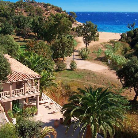 Le Clos Des Sept Palmiers Cavalaire-sur-Mer Ngoại thất bức ảnh