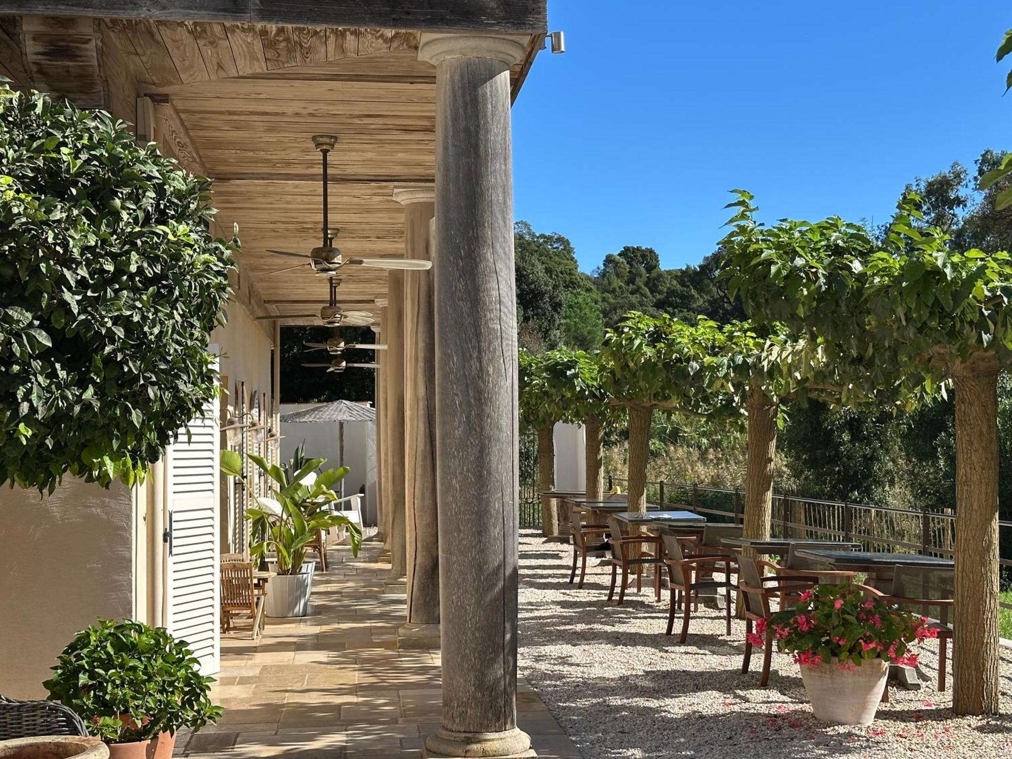 Le Clos Des Sept Palmiers Cavalaire-sur-Mer Ngoại thất bức ảnh
