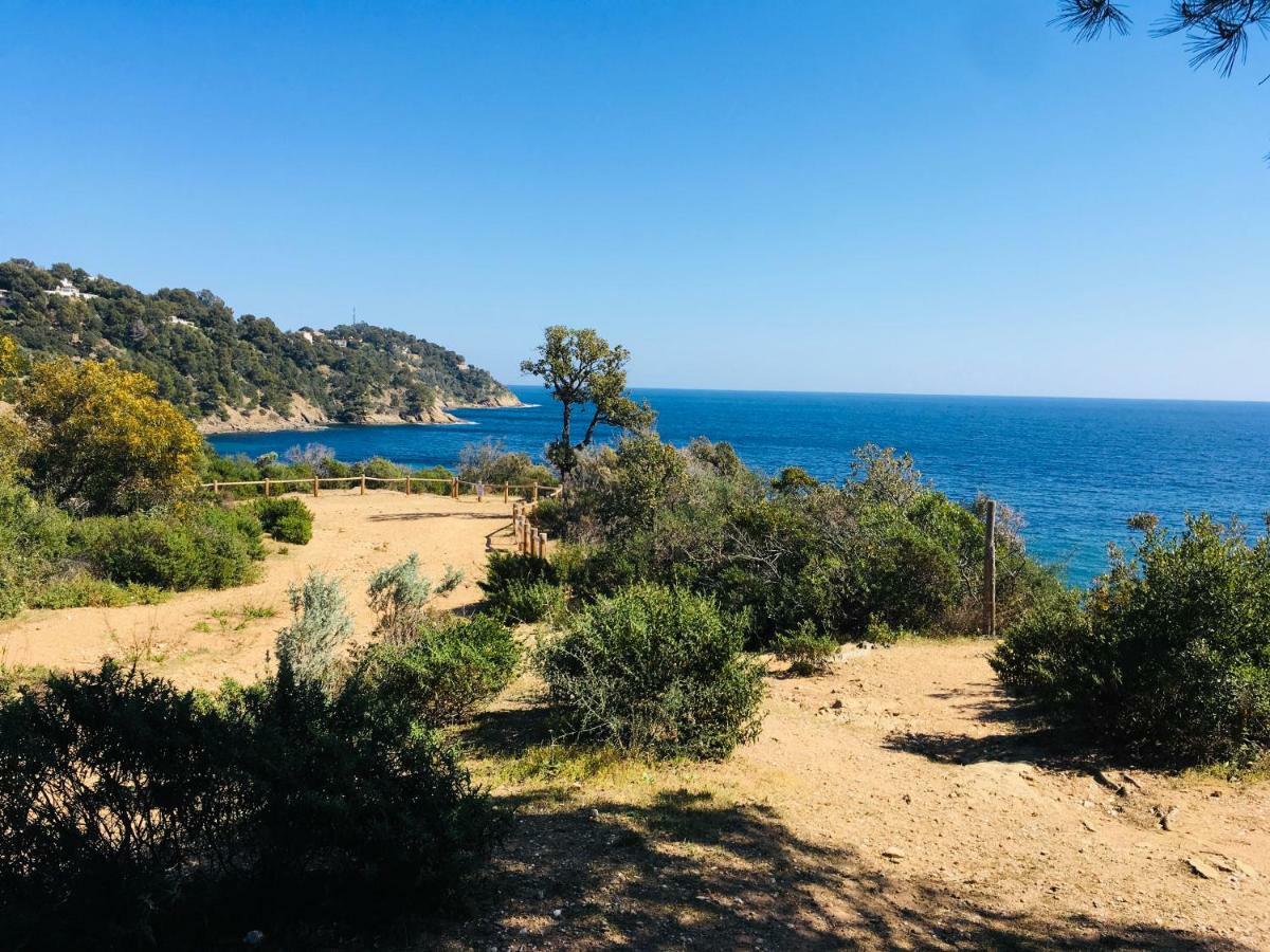 Le Clos Des Sept Palmiers Cavalaire-sur-Mer Ngoại thất bức ảnh