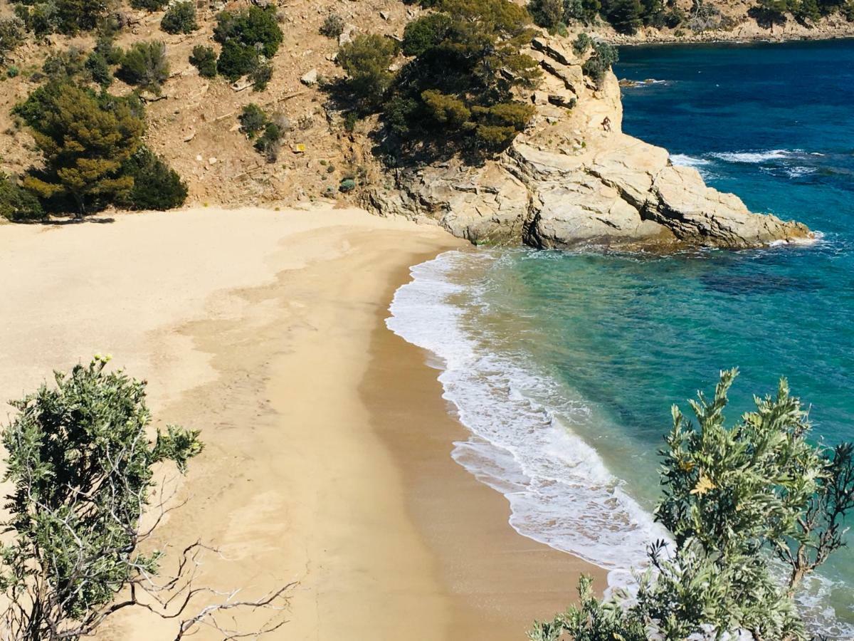 Le Clos Des Sept Palmiers Cavalaire-sur-Mer Ngoại thất bức ảnh