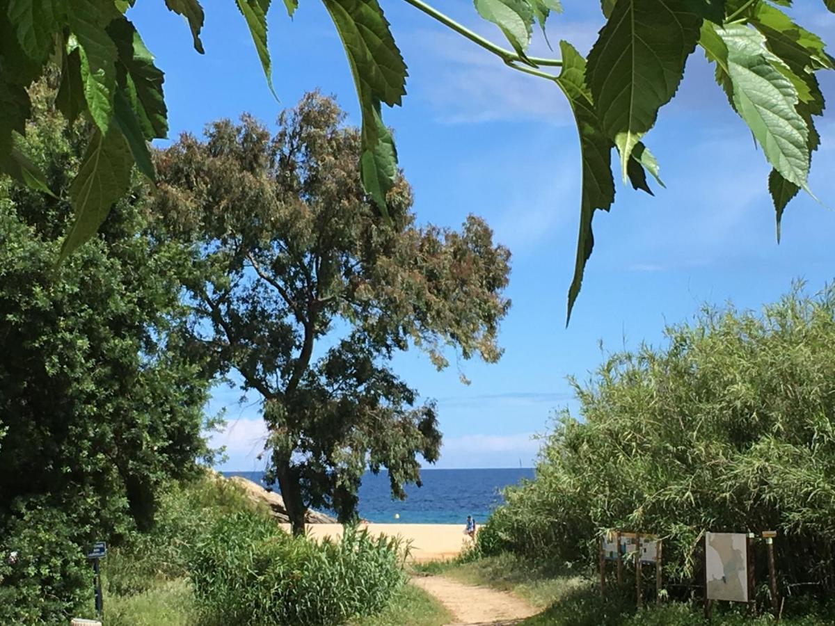 Le Clos Des Sept Palmiers Cavalaire-sur-Mer Ngoại thất bức ảnh